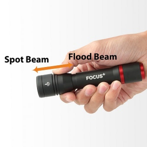 Torch focus new arrivals